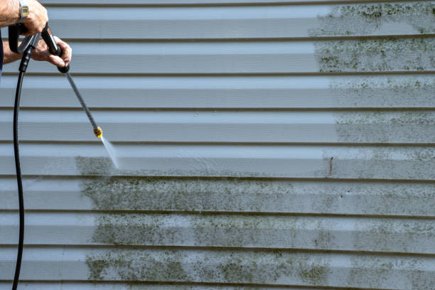 Best Stucco Siding  in Colesville, MD